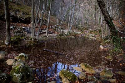 Прикрепленное изображение: xd59fvq8DLI.jpg